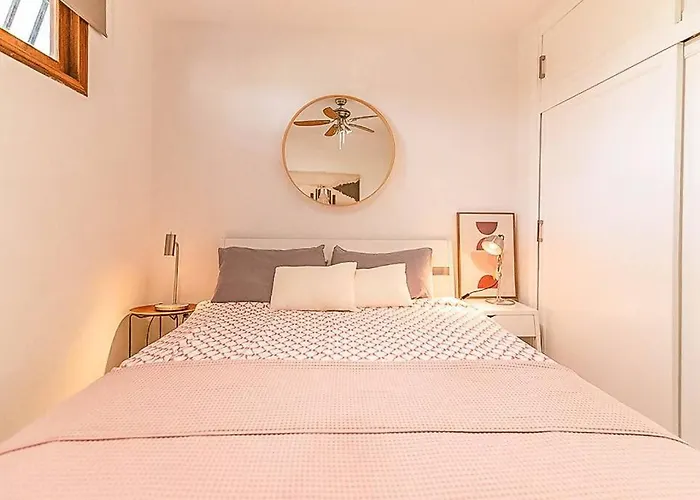 Boho Suite Kiwi